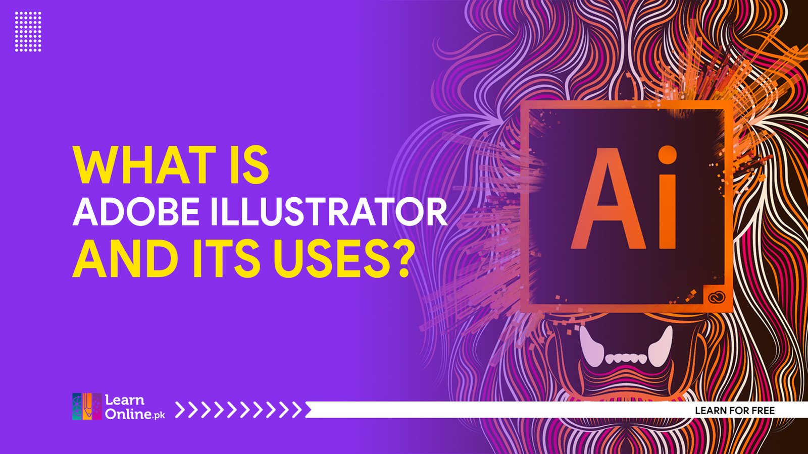 What is adobe illustrator and its uses